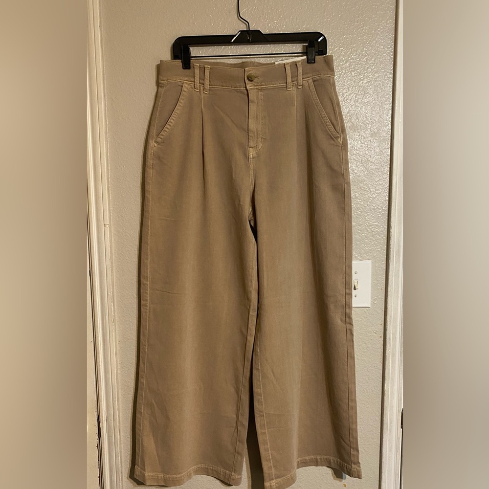 American Eagle Outfitters Tan Wide-Leg Pants